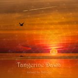 Yaleeni - Tangerine Dawn
