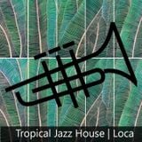 Tropical Jazz House Mix 2015