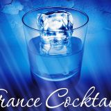 Alex Johnson Live@Trance Cocktail (Ganesh Buddhabar) 20-12-2013