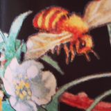Superior Old Bee