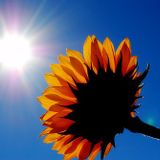 Positive Wibe