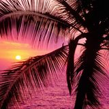People Love Ibiza Mixed By DJ BEAT
