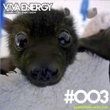 sandro-peres-viva-energy-003