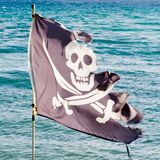 Alice - Offensiva ad Oltranza - Terza Puntata (Pirati Somali)