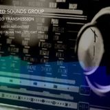 Unexplained Sounds Group - the recognition test # 1