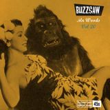 Buzzsaw Joint Vol 20 (Mr Woods)