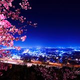 Electric Nights 020