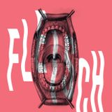 AGENCY, FLEISCH X LIVE SET (29.01.2016)
