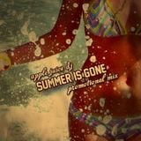 Apple Juice DJ - Summer Is Gone (Promo Mix 2013)