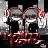 Kalm Kaoz - infected Kaoz - LIVE from Wasteland Weekend 2012
