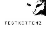 Electro House Mix
