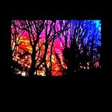 Fire In The Forest At Midnight