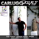 CARLUGO presents WAVES (volume 8) - The Finest Lounge Music Show