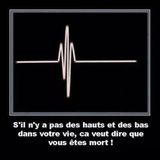 2015 RENOUVEAUX. LES FRERE DE SON