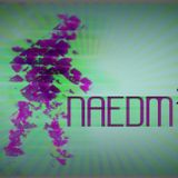 NAEDM II