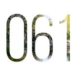 Music Day Show 61