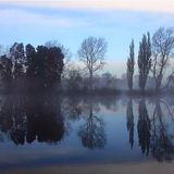 Reflections