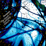 The Depth of Synthetic Nature