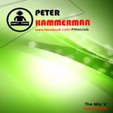 Peter Hammerman - The Mix V (Spring Session)