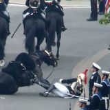 Bonehorse Royal Wedding Special