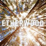 Etherwood - Album Mini Mix
