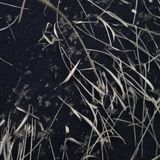 Son Lux Mixtape for Under the Radar (Le Guess Who? Edition)