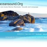 Cetaciansound.org - helping dolphins to avoid hunters and coves!