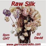 Raw Silk #10 including New Sleater-Kinney, New Bjork and classic Jefferson Airplane