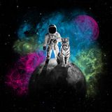 Progressive Return- Dj White