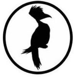 EARLYBIRD PODCAS T #33 - EL TRAIN