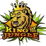 King of the Jungle 2015