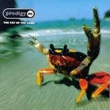 The Prodigy THE FAT OF THE LAND mixed by Sebastian Sandmann
