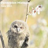 Punkryden Mixtape : June 2011