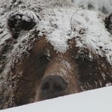 Chilllllls - The Hibernation Mix
