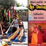 Las Dalias Ibiza 25 aniversario en Ibiza Sonica