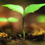 .:Longevity Radio:. Episode 18 – SPRING into Action Edition