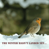 Dj Raveland - The Winter Hasn't Landed Yet