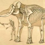 Drunk Elephant Sound System 8 March_ Part 2