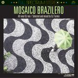 Mosaico Brazilero