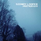 LZRFYR 04-07-2010