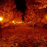 DJ Paul Rodhy - The Autumn Mix 2001 (Music 4 the Falling Leafs)
