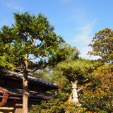 Mad Zen Mix by DJ Nonsequitur