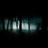 DJ Johnnson - Dark Night @ Psy Forest