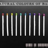 Dièse.elle - Natural colours of bass