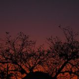 Mystical Sunset 3 Nirvana