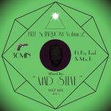 Beef & Harmony Volume 2 - Mixed by Mad Steve