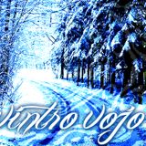 vintro vojo