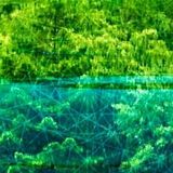 SD093.Nils - Vegeterian