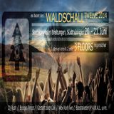 Alex Kork (Live PA) @ Waldschall Twelve - Seeblickwiese Breitungen - 20.06.2014