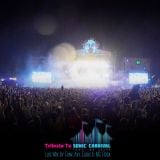 TRIBUTE TO SONIC CARNIVAL 2014 (Live Set by Funk Avy, Euric & MC Roda King)
